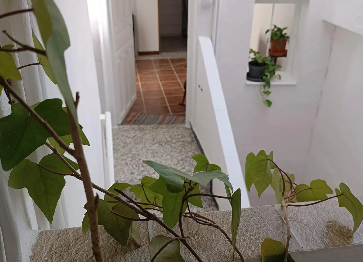 Villa La Casita De Maria Setenil De Las Bodegas Сasa de vacaciones